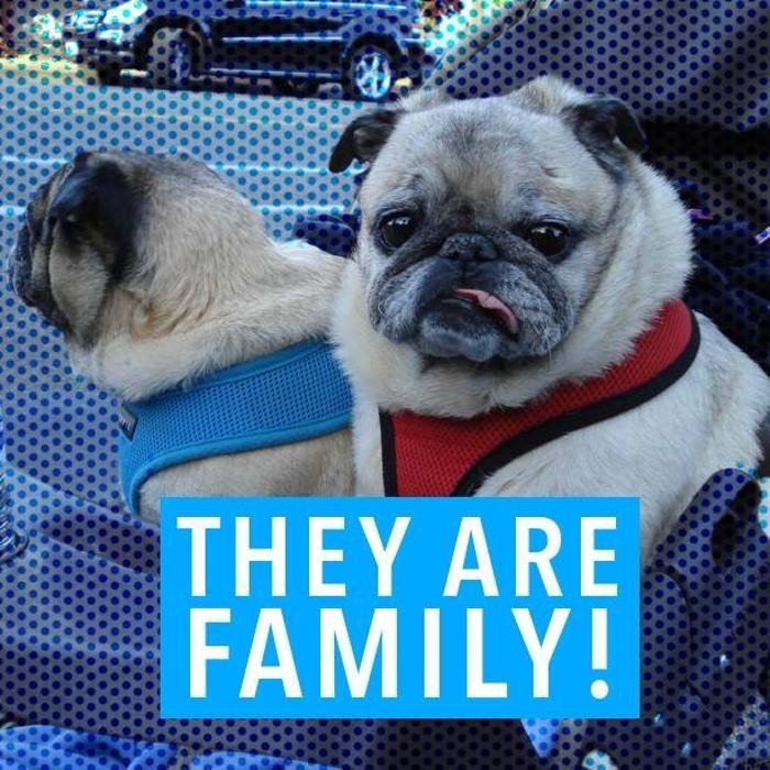 Noble West Animal Hospital