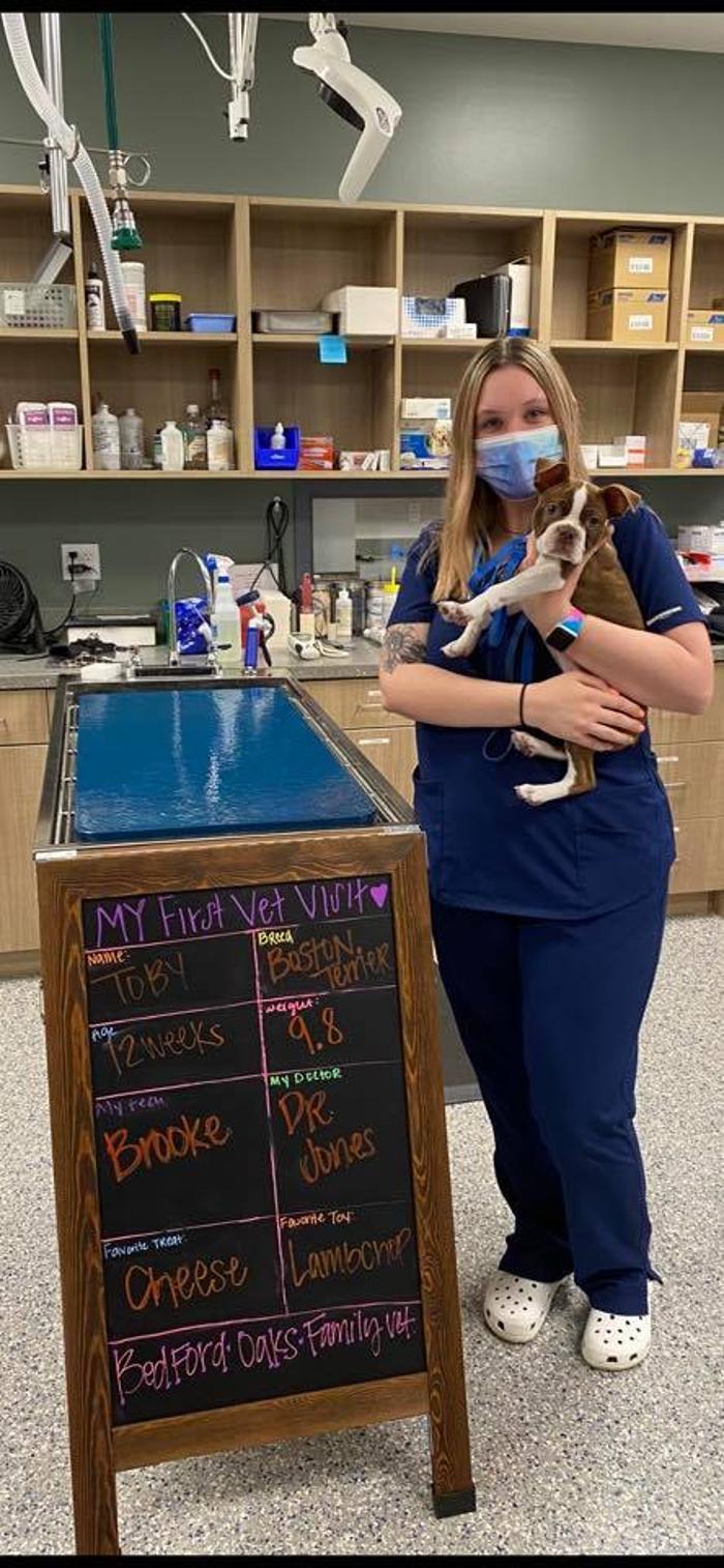 Bedford Oaks Family Vet