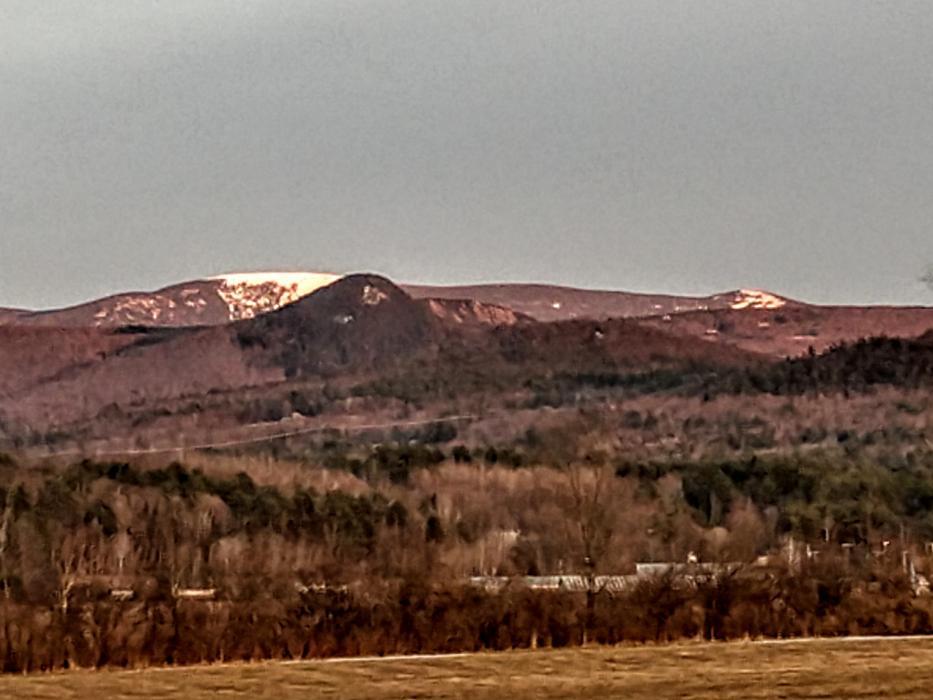 All Access Real Estate