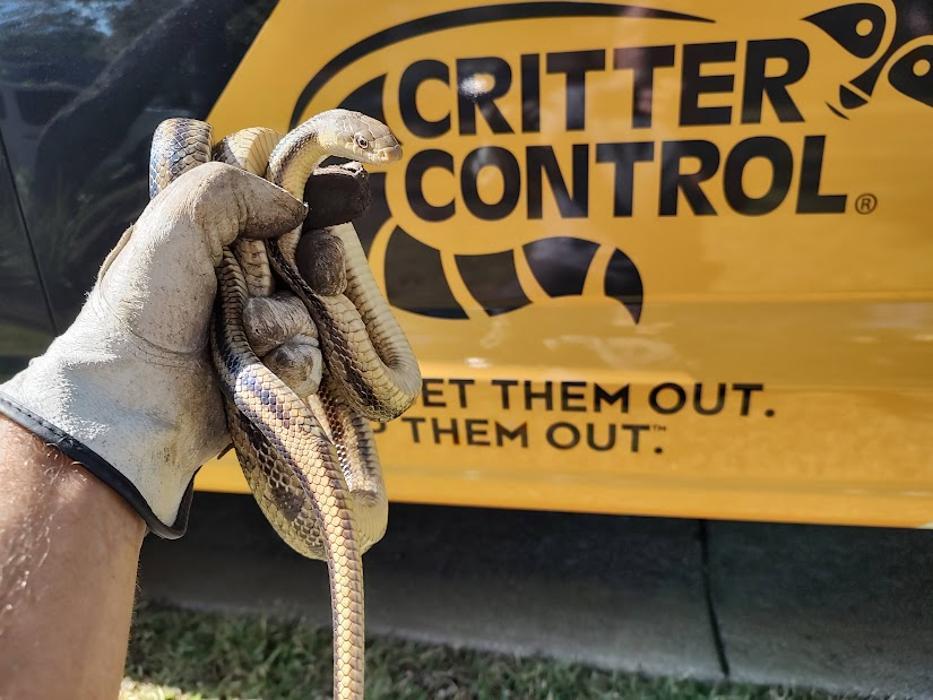 Critter Control of Myrtle Beach