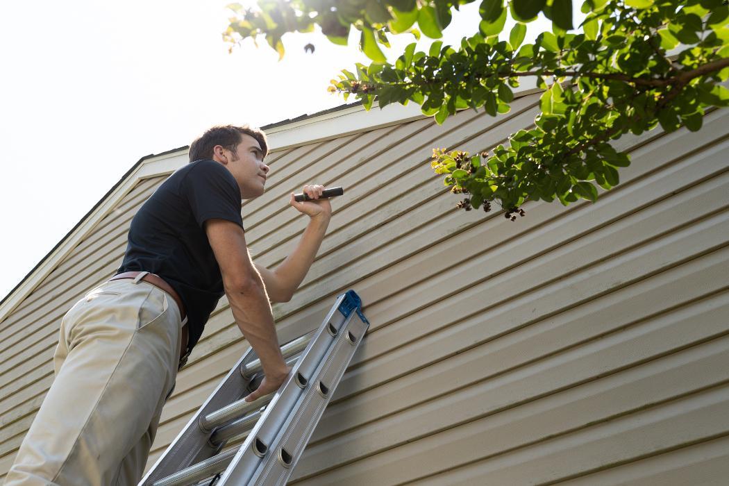 Critter Control of Dayton