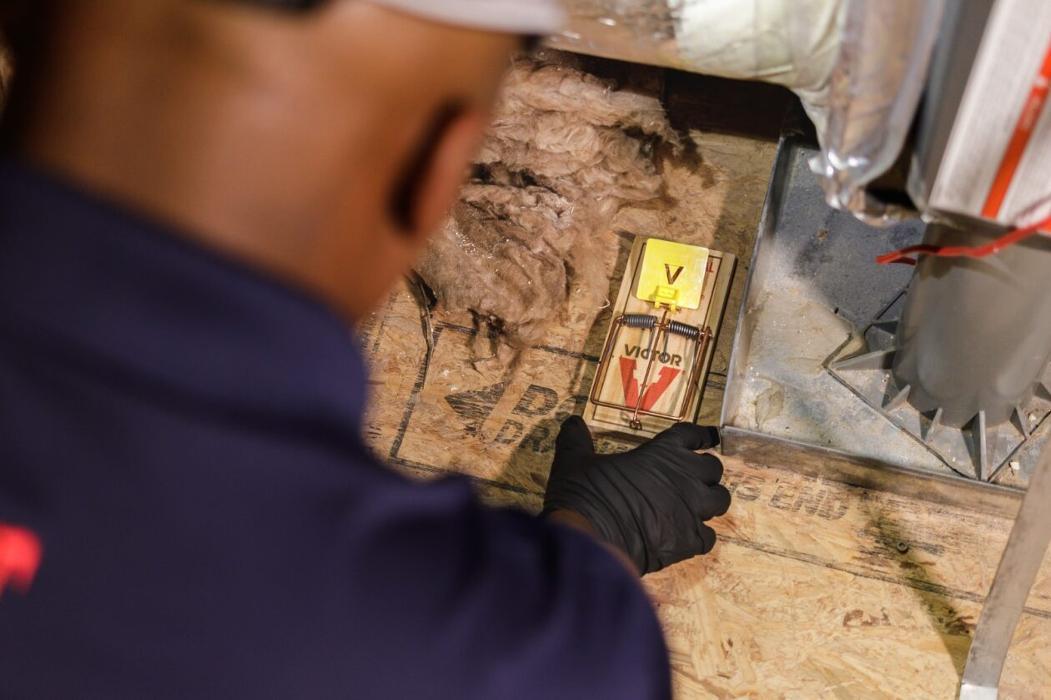 Trutech Wildlife Service