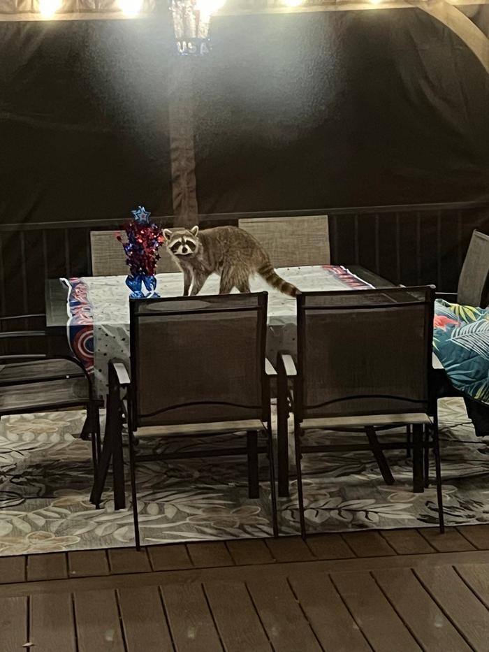 Trutech Wildlife Service