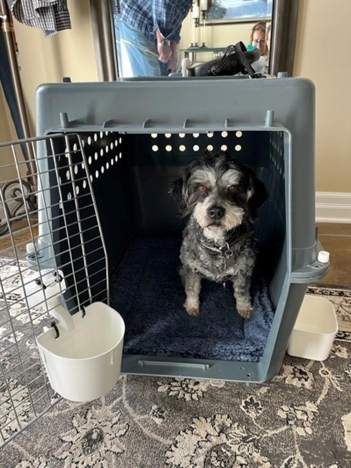 emBARK Pet Transport