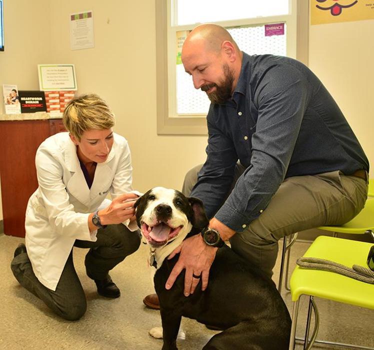 SmartVet Mobile Veterinary Service Illinois