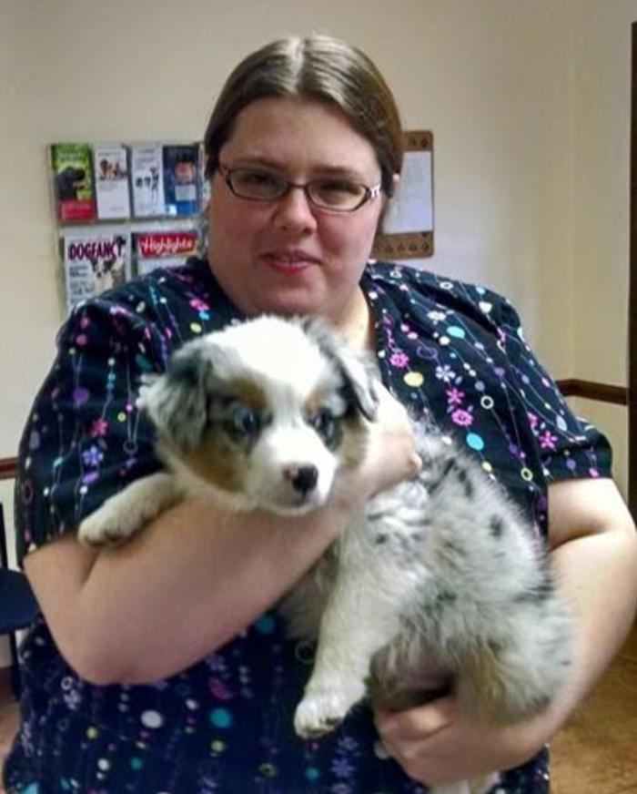 North Main Animal Clinic