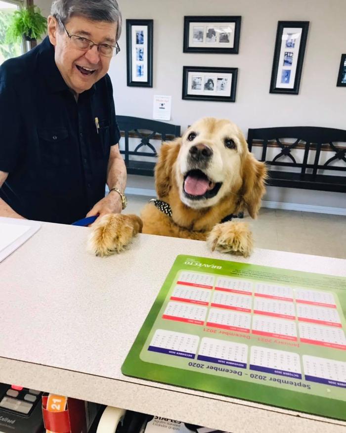 Bellshire Family Vet