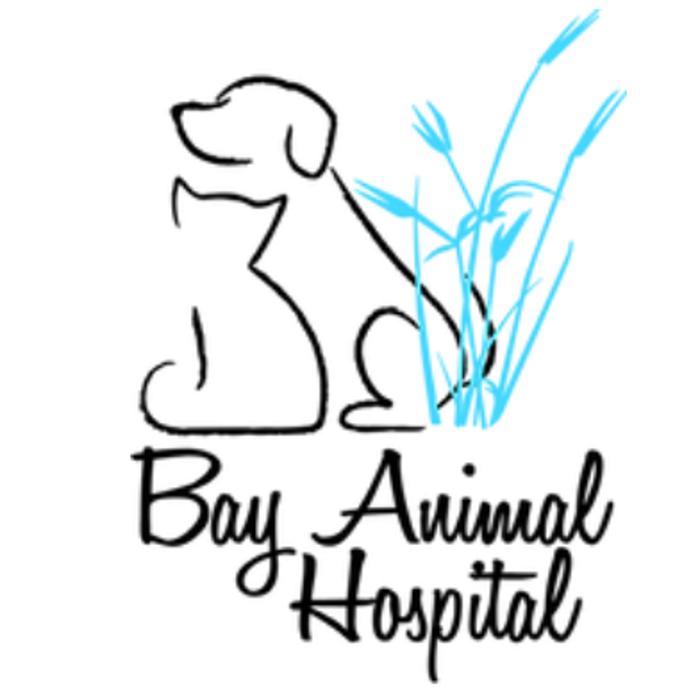 Bay Animal Hospital