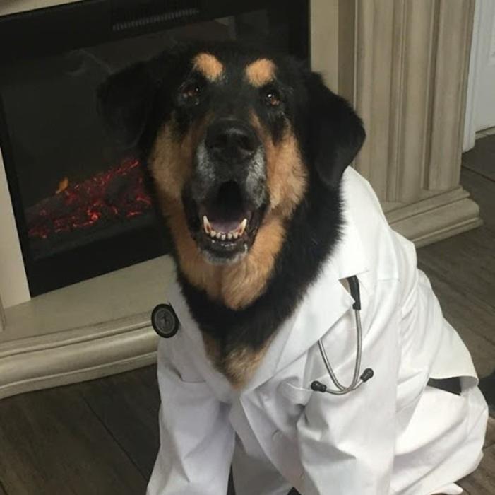 Precious Paws Animal Hospital