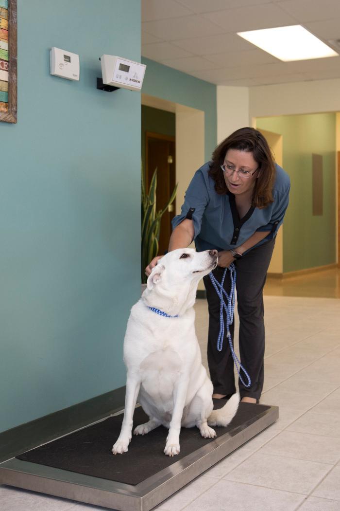 Animal Care Hospital of Morris Inc