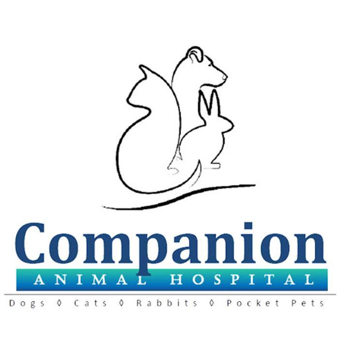 Companion Animal Hospital of Traverse City