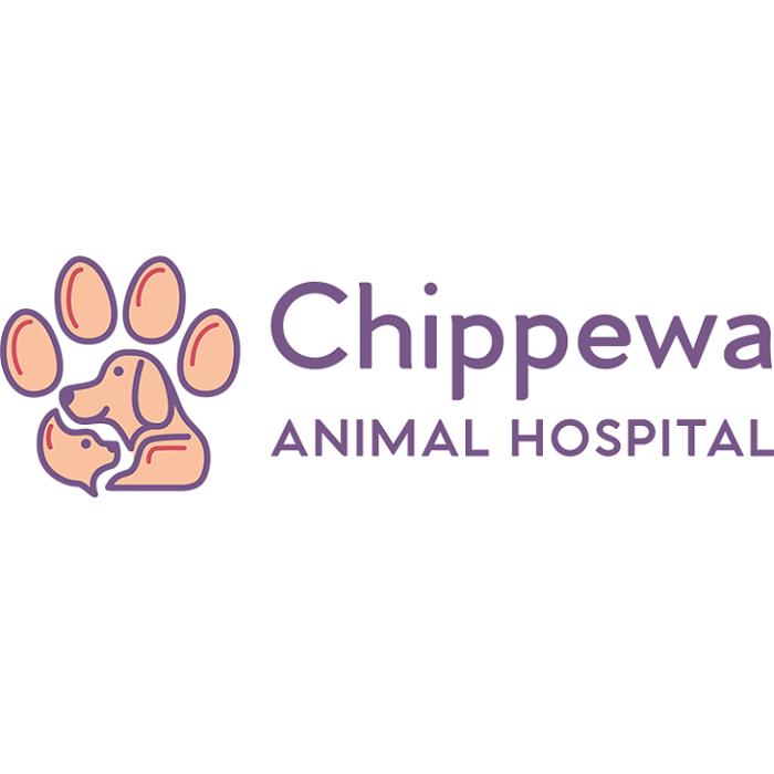 Chippewa Animal Hospital