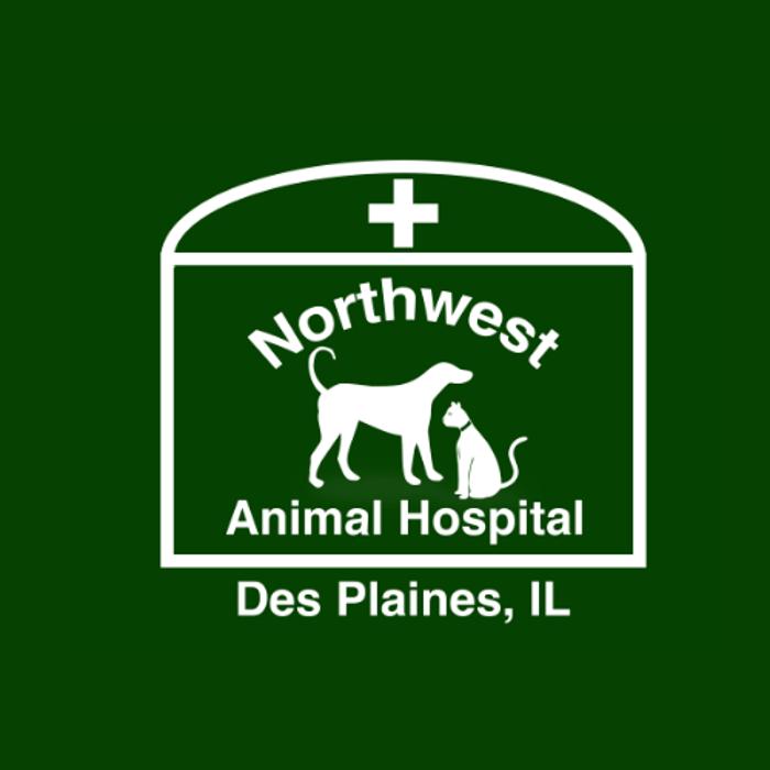 Northwest Animal Hospital