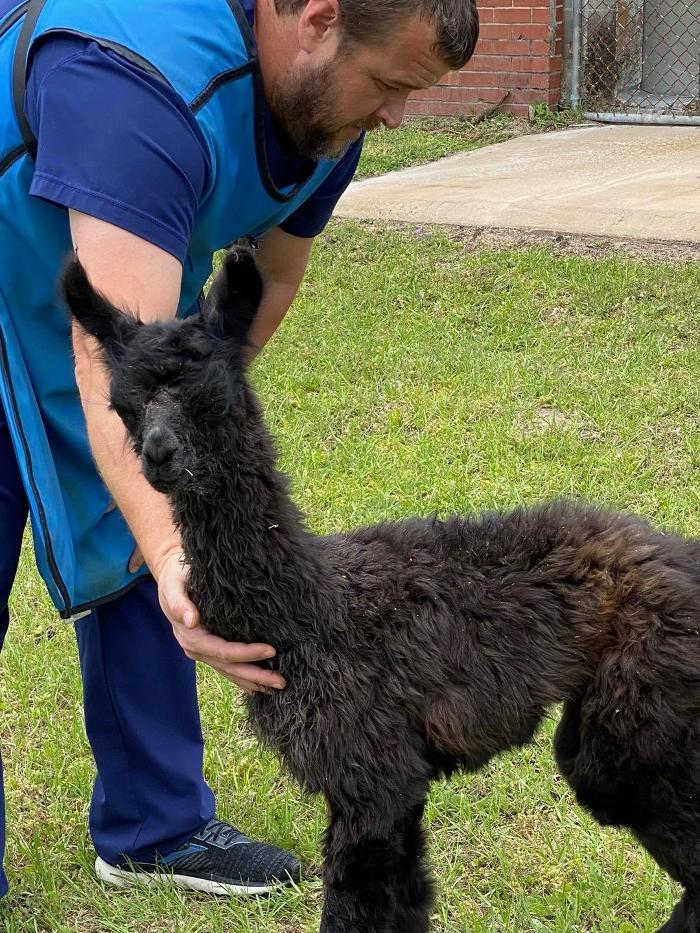 Walton County Animal Clinic