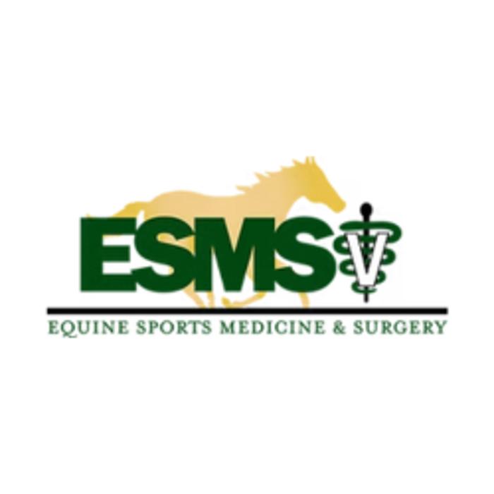 Equine Sports Medicine & Surgery