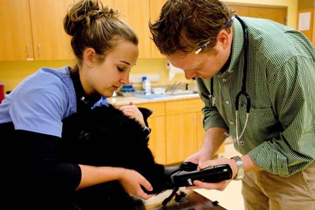 Boones Creek Animal Hospital