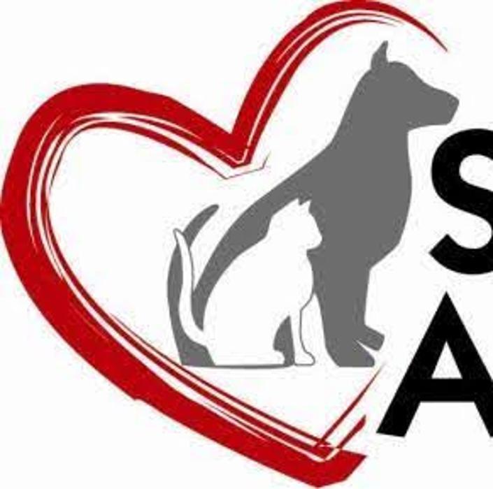 State Road Animal Hospital