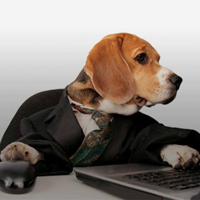 Marden & Co Accountants Ltd