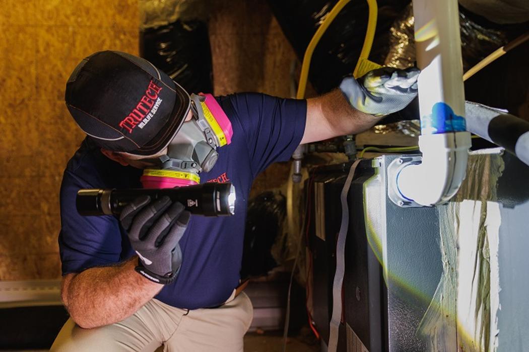 Trutech Wildlife Service