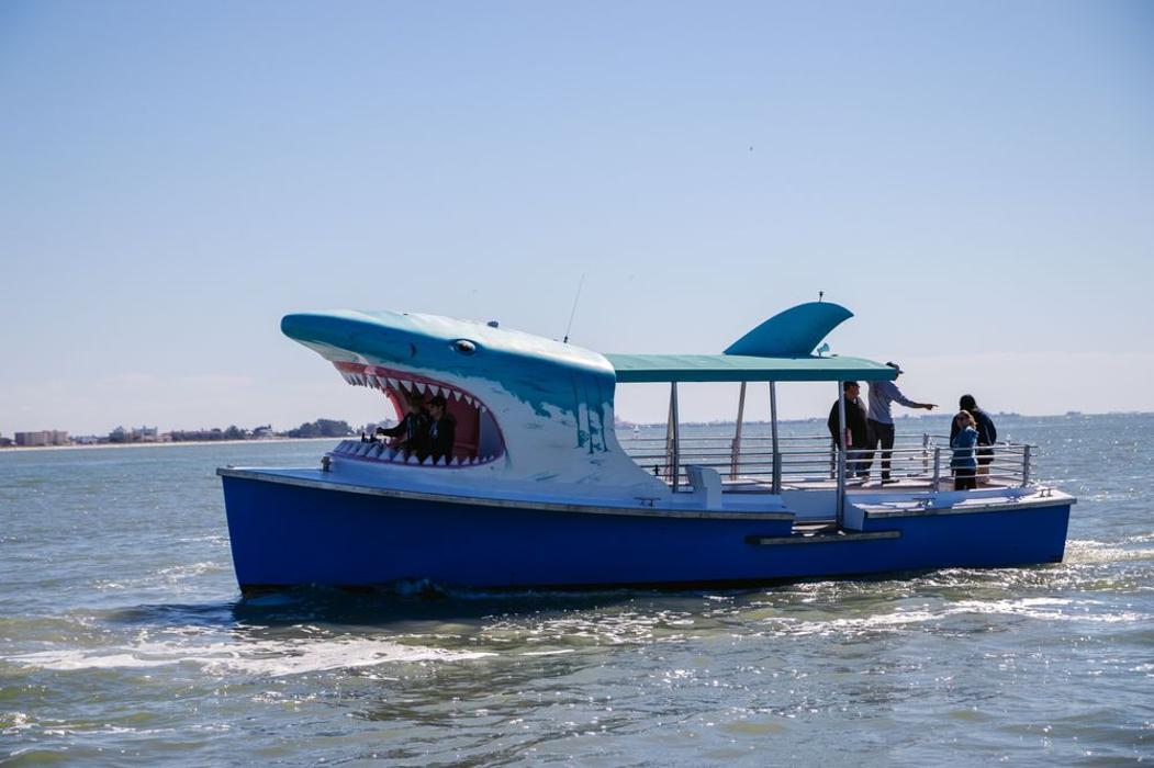Shark Boat Tours John's Pass