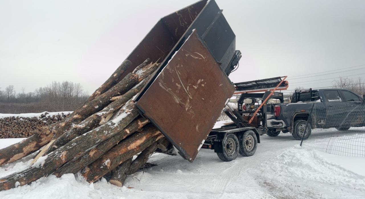 Campbell Firewood & Tree Services