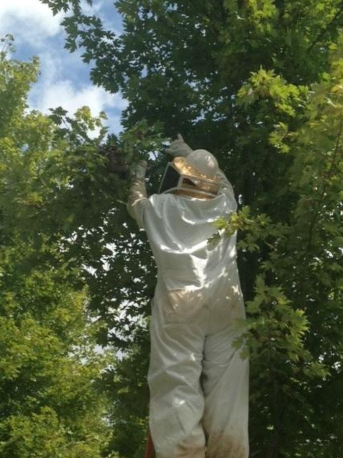 Peachtree Pest Control