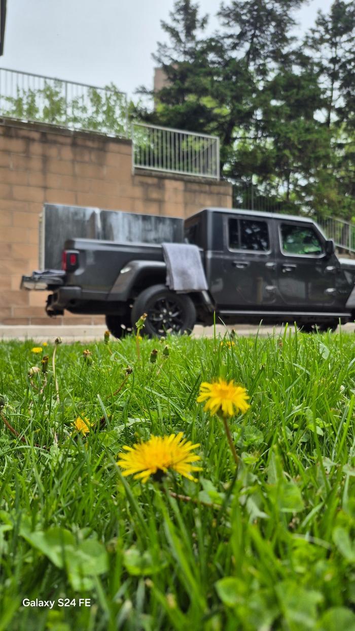 Max-Ride Pick Up & Delivery Service