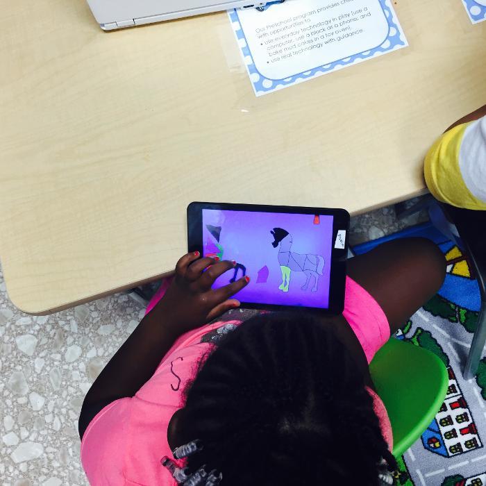 Young Minds Development Center Inc.