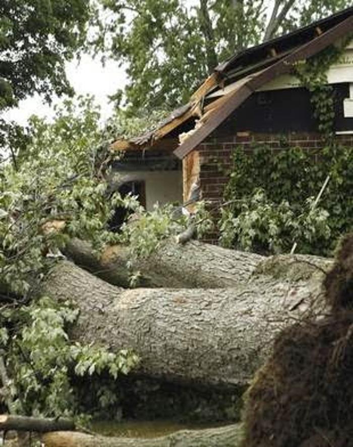 BELFOR Property Restoration (Las Vegas)