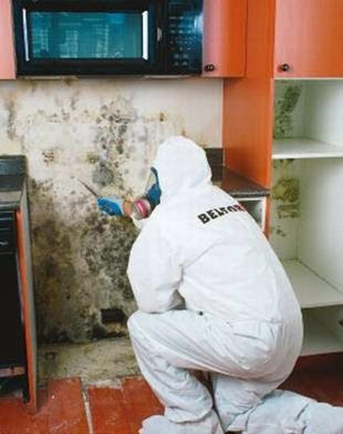 BELFOR Property Restoration (Cleveland)