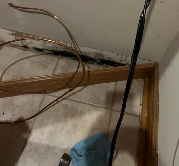 The Mold Pros of Indiana