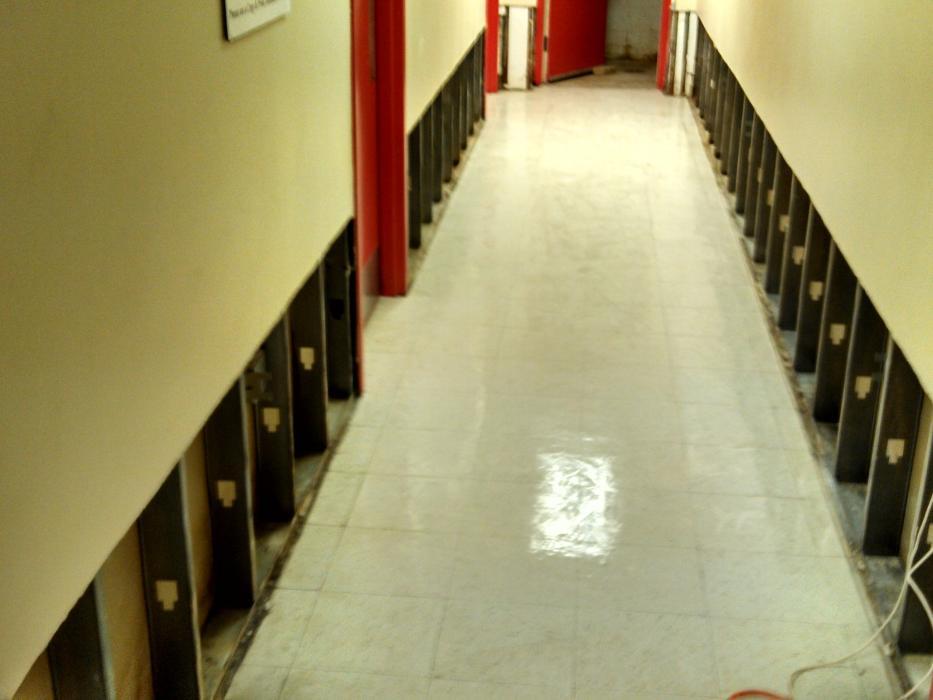 The Mold Pros of Texas