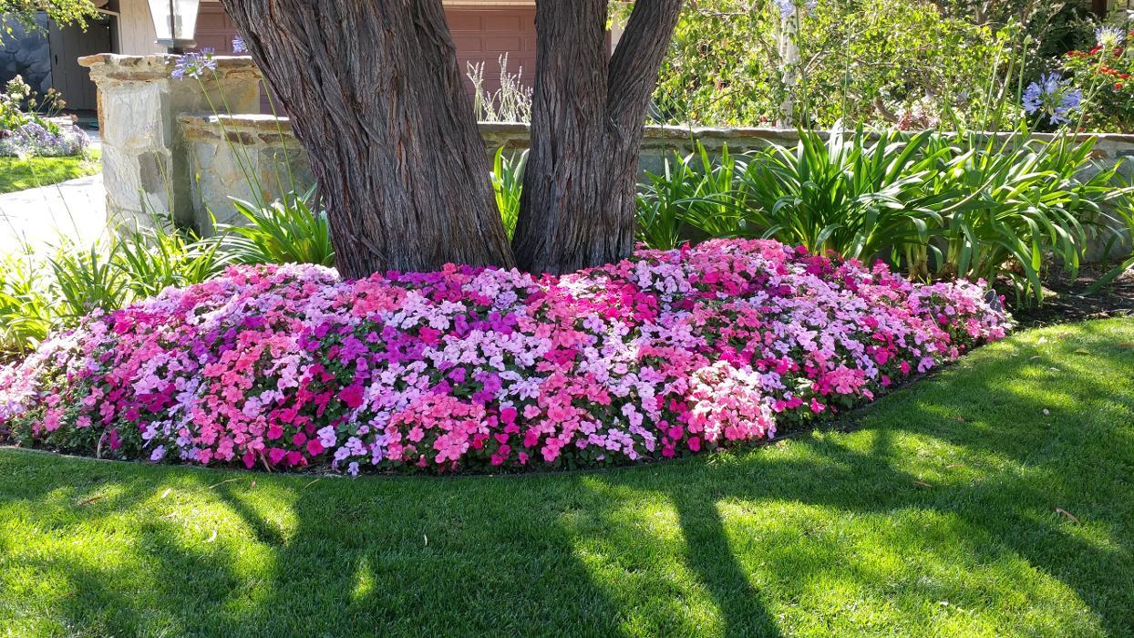 Alma Gardening Company Inc.