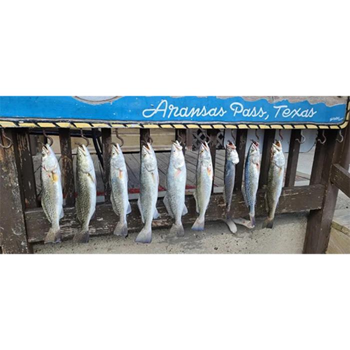 Big M's Fishing Charters LLC