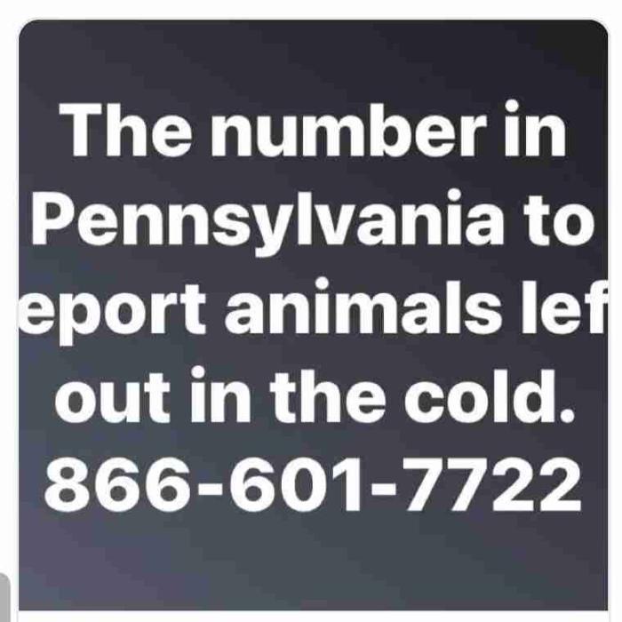 Delaware County Animal Control