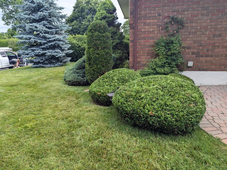 Greencraft Hedge & Garden