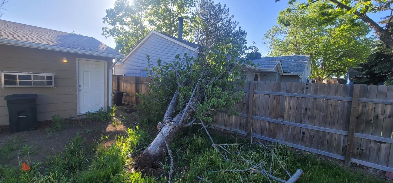 Monster Tree Service of Greater Boulder