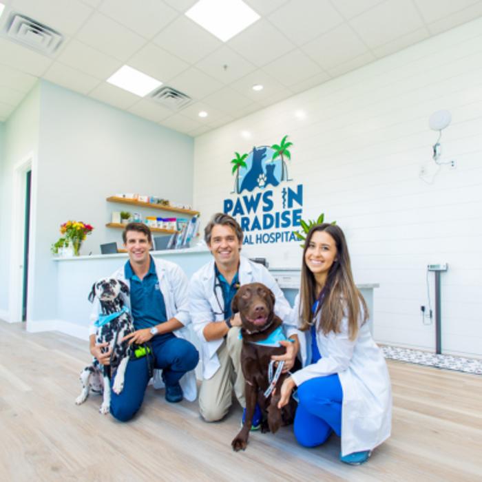 Paws In Paradise Animal Hospital