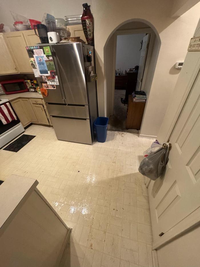 DRYmedic Restoration Services of SE Charlotte