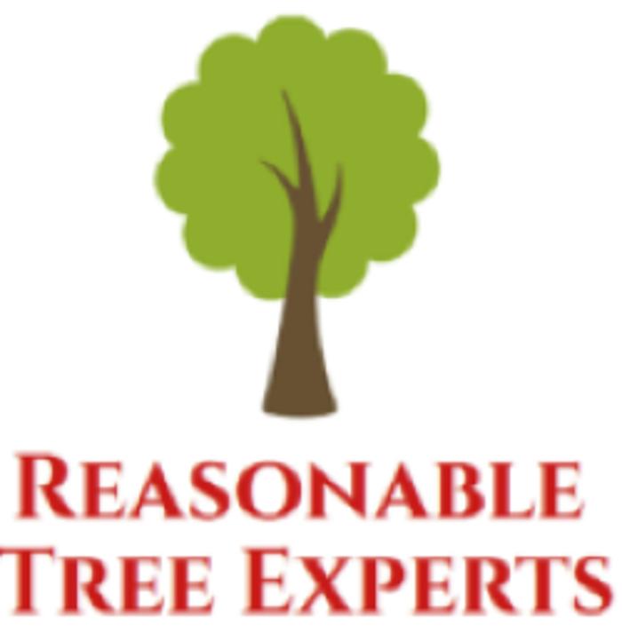 Reasonable Tree Experts