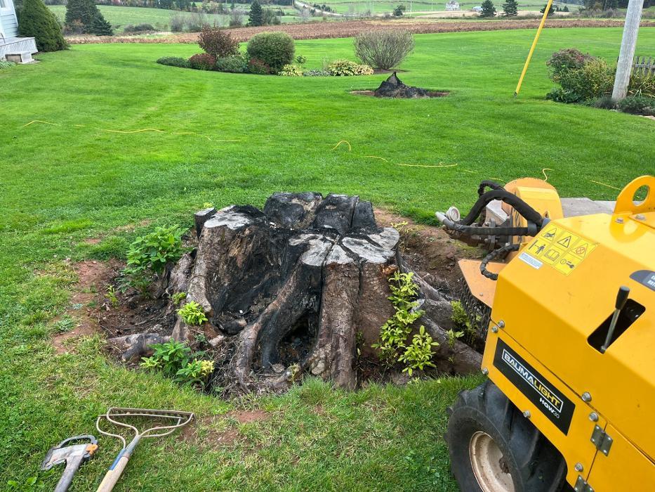 Renewed Landscapes Inc