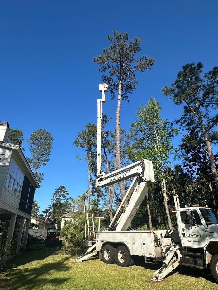 Summit Tree & Land Solutions, LLC