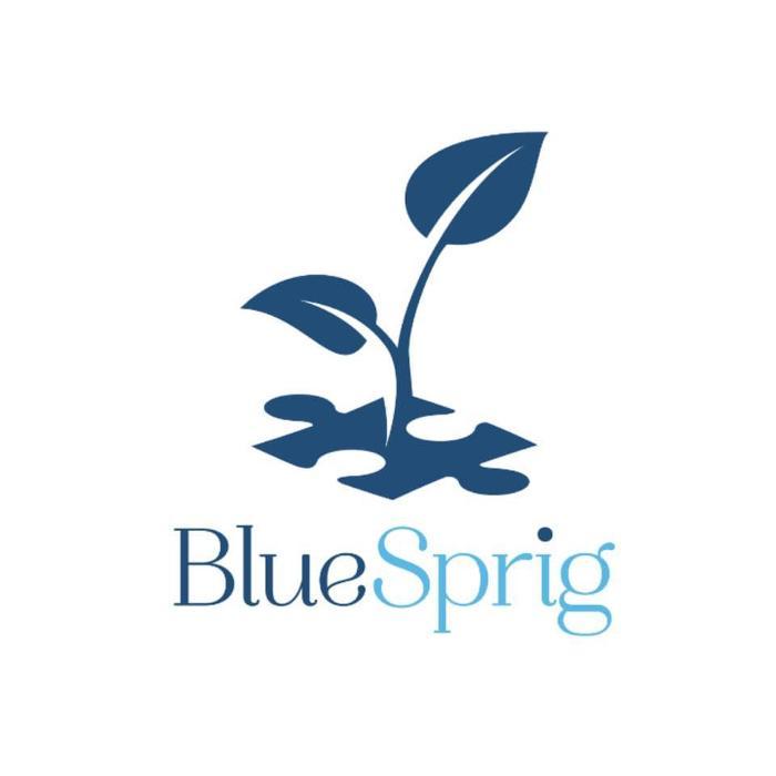 BlueSprig Newnan - ABA Therapy for Autism