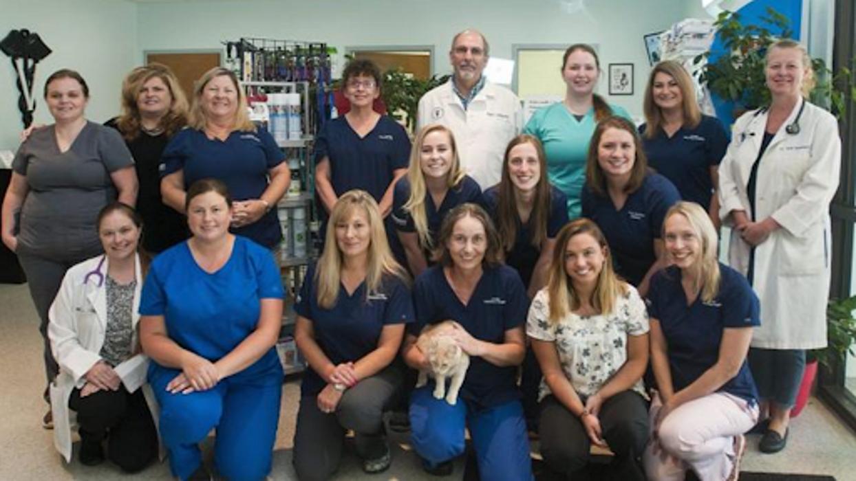 Lexington Veterinary Associates