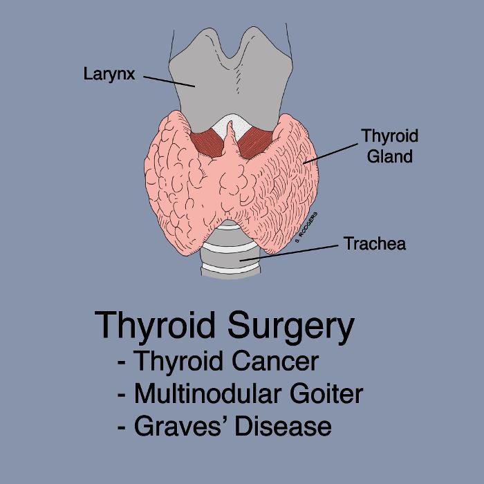 Steven E Rodgers, MD, PhD
