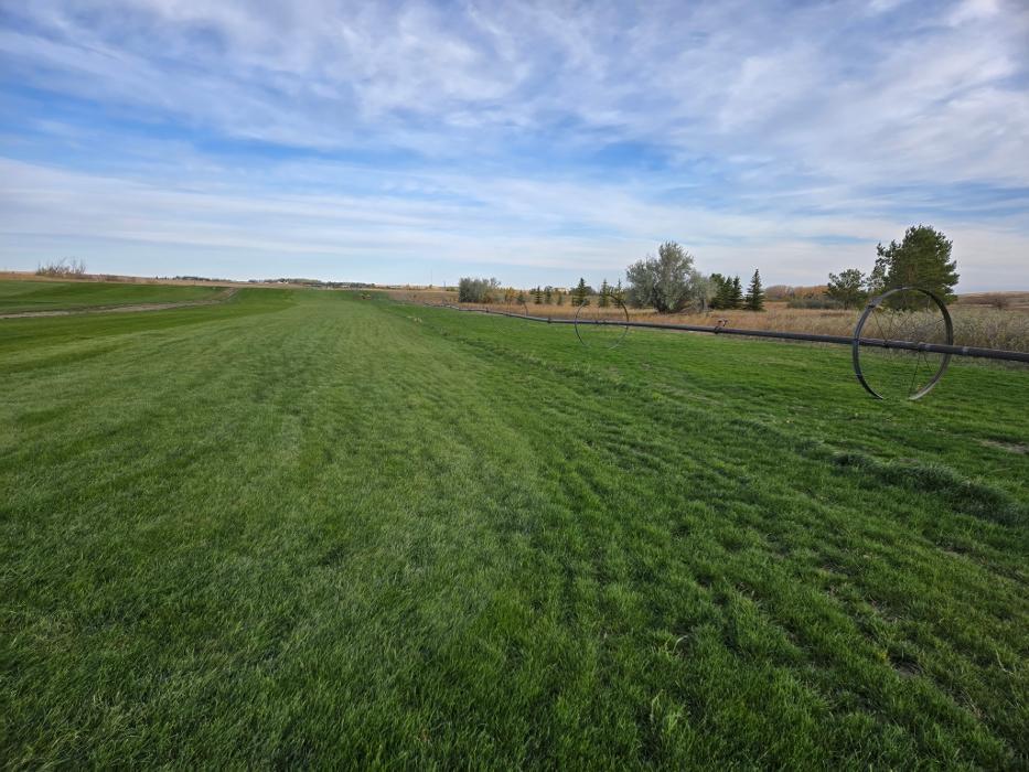 Emerald Valley Sod