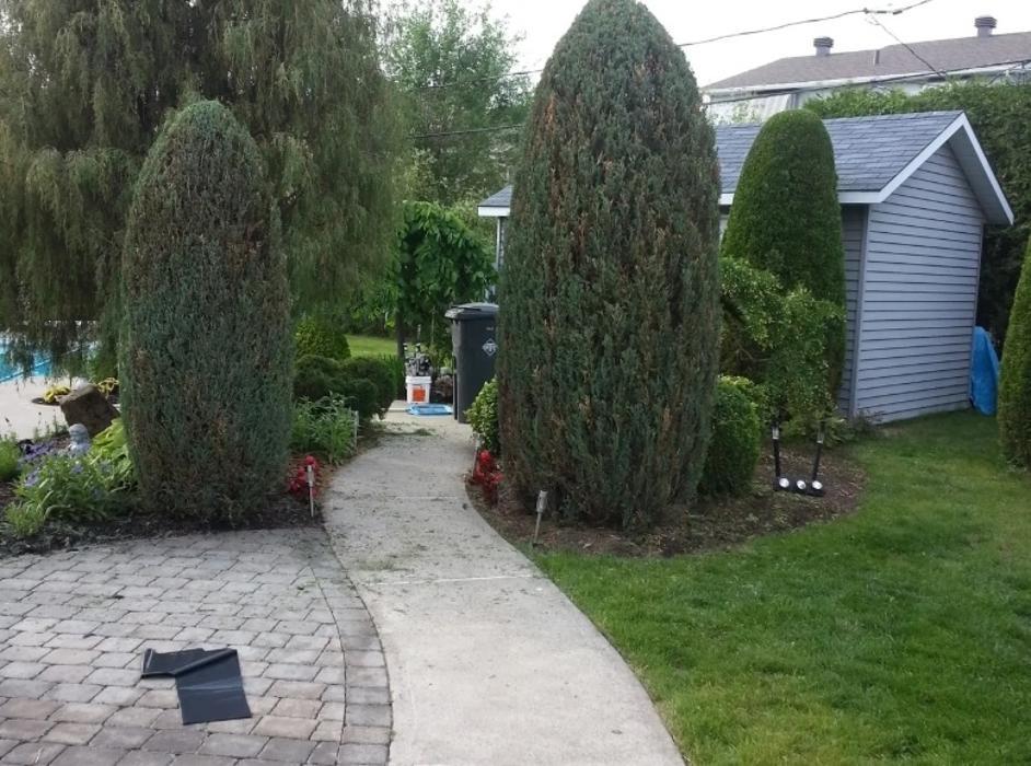 Les Tailles Haies Rive Sud