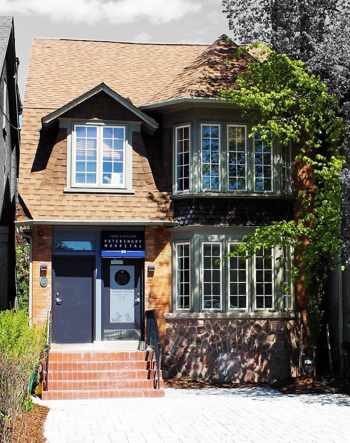 Yonge & St. Clair Veterinary Hospital
