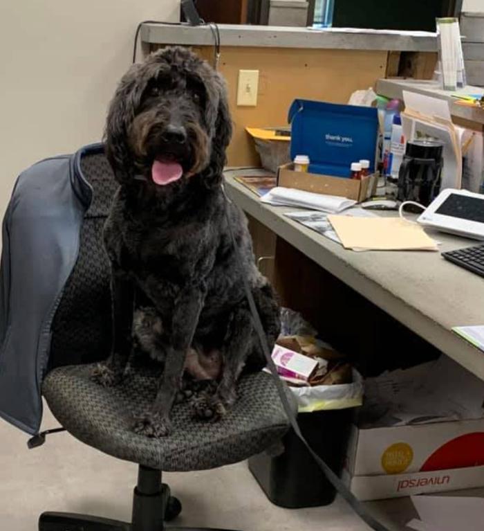 Heritage Veterinary Care