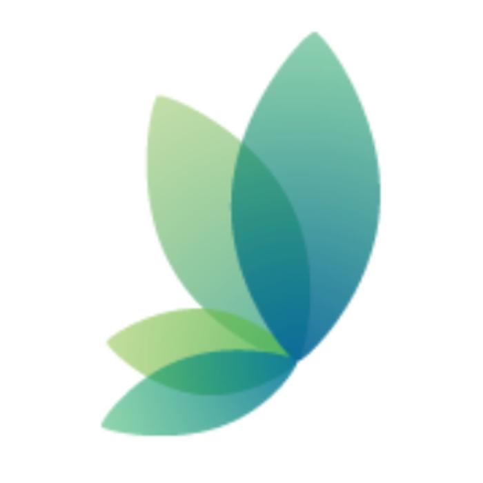 Grace Dental (Green Valley)